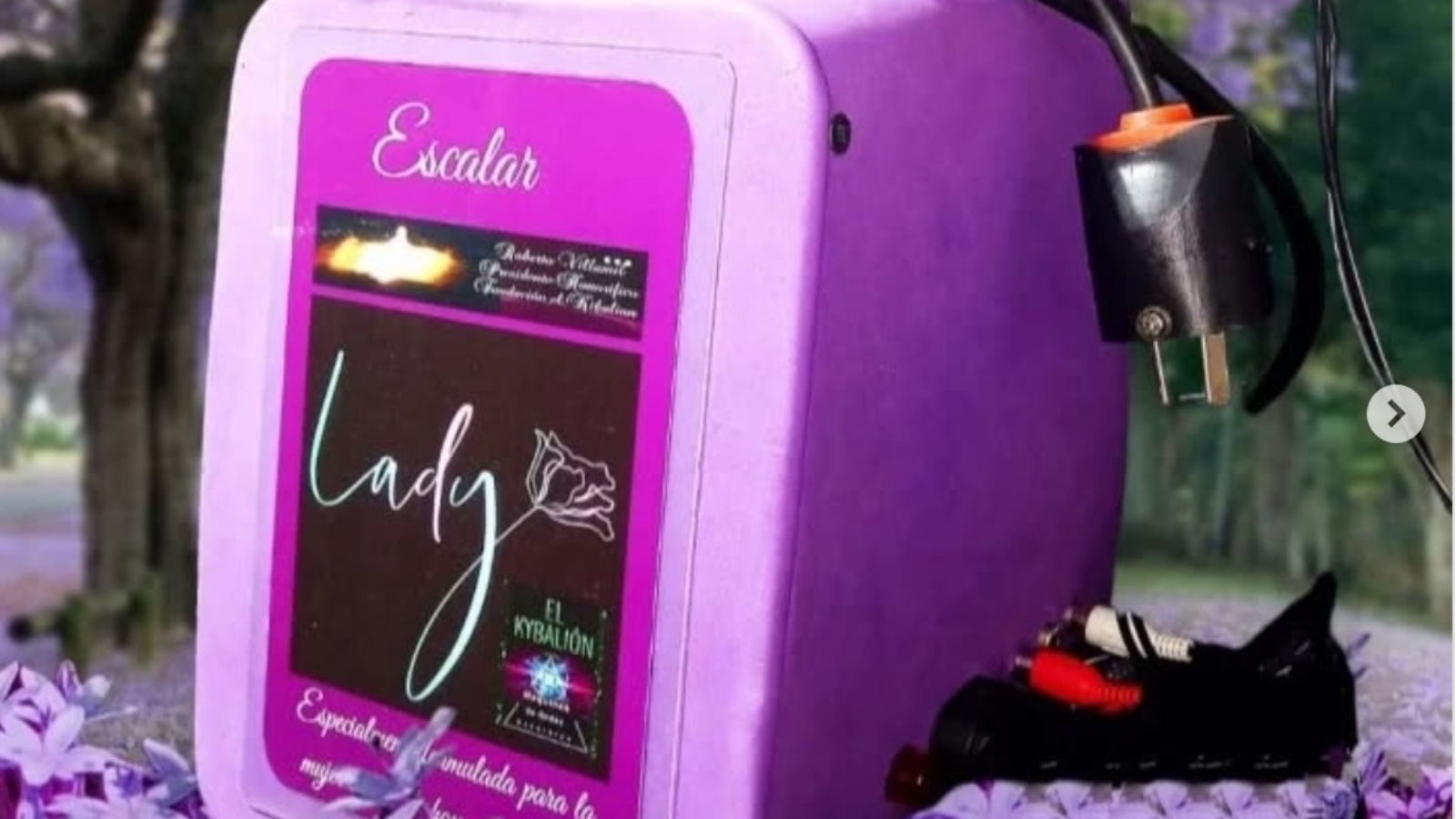 WhatsApp Image 2025-10-14 at 17.45.17